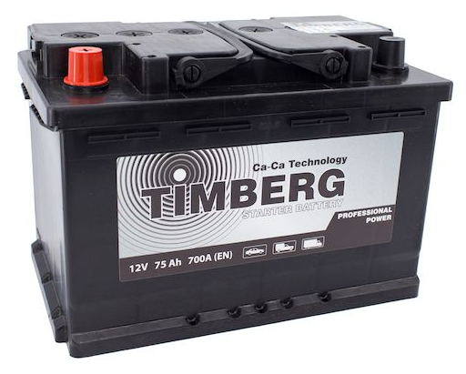 Аккумулятор Timberg Professional Power 75Ah L 700А