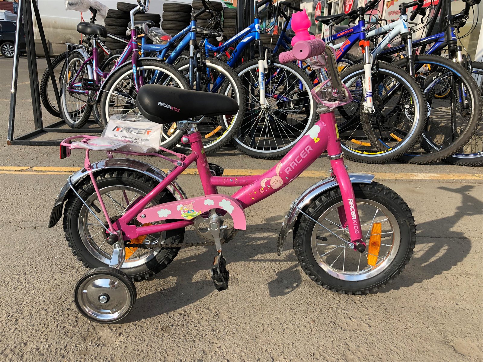 Велосипед детский Racer Dolpfin 916-12 (фиолетовый)