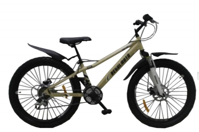 Велосипед Regulmoto 24-111