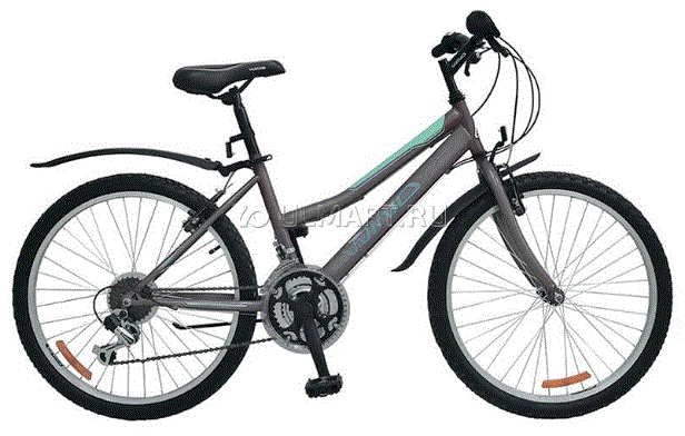 Велосипед Wind Mountain Queen 24” 18-скор. 15” рама серый