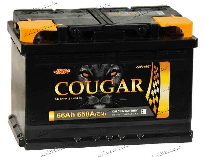 Автомобильный аккумулятор Cougar 66 Euro (обратная полярность)