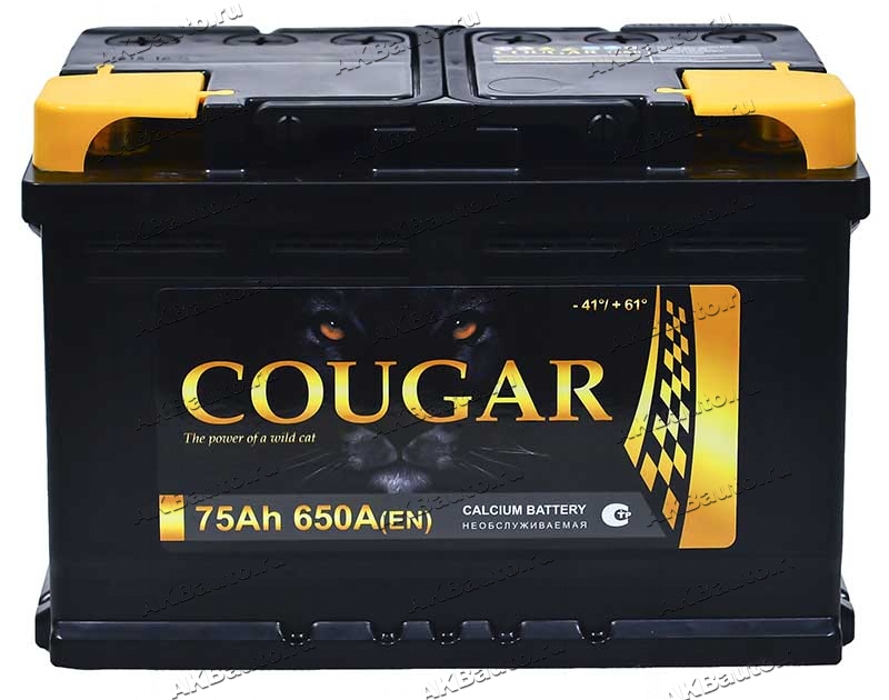 Автомобильный аккумулятор Cougar 75 Euro (обратная полярность)